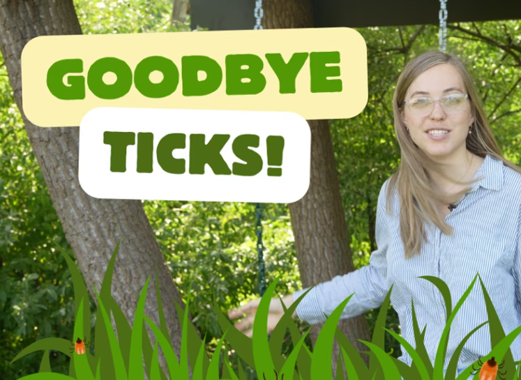 7 Tips for Creating a Tick-Free Yard